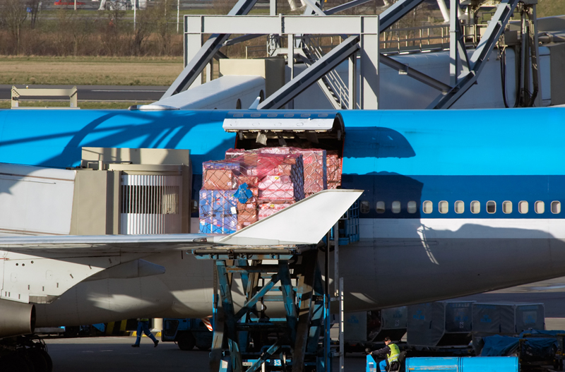 Professional Urgent Cargo Handling